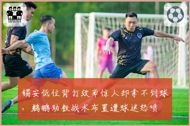 锡安低位背打效率惊人却拿不到球,鹈鹕助教战术布置遭球迷怒喷