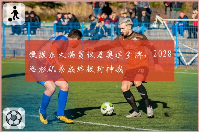 樊振东大满贯仅差奥运金牌，2028洛杉矶或成终极封神战