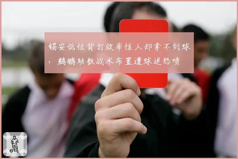 锡安低位背打效率惊人却拿不到球,鹈鹕助教战术布置遭球迷怒喷