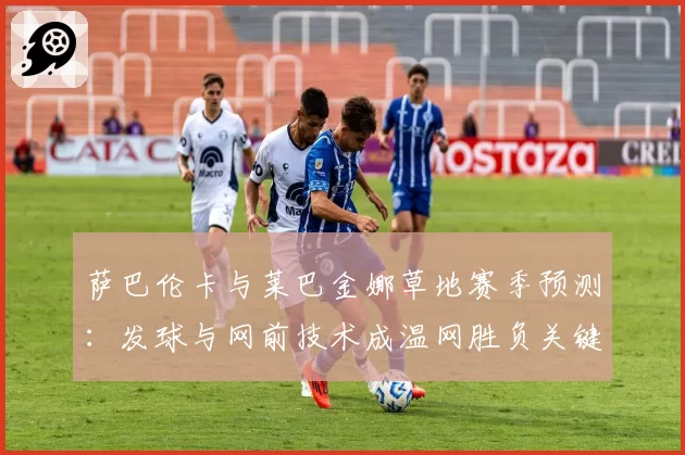 萨巴伦卡与莱巴金娜草地赛季预测：发球与网前技术成温网胜负关键