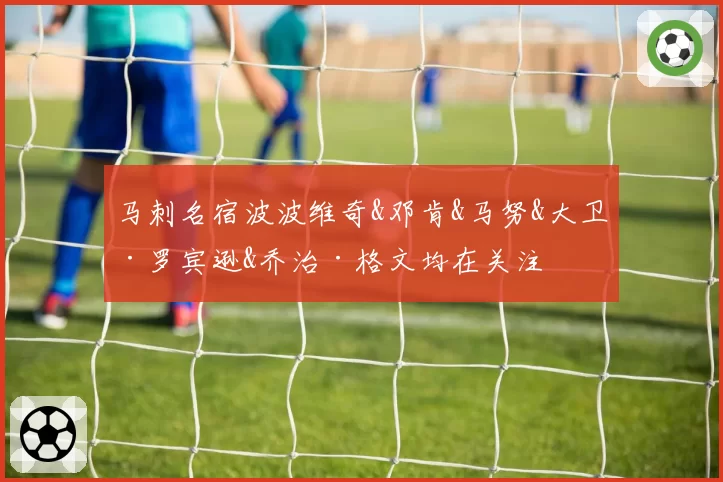 马刺名宿波波维奇&邓肯&马努&大卫·罗宾逊&乔治·格文均在关注