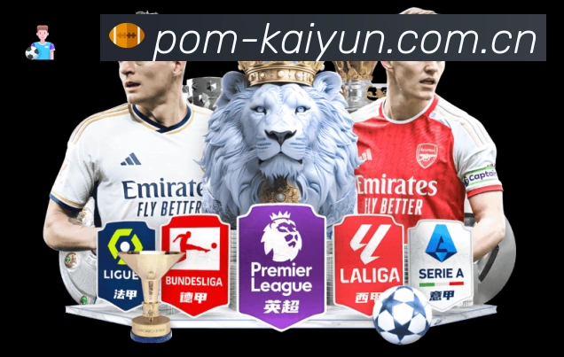 回放与集锦入口